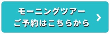 モーニングツアー申込用バナー